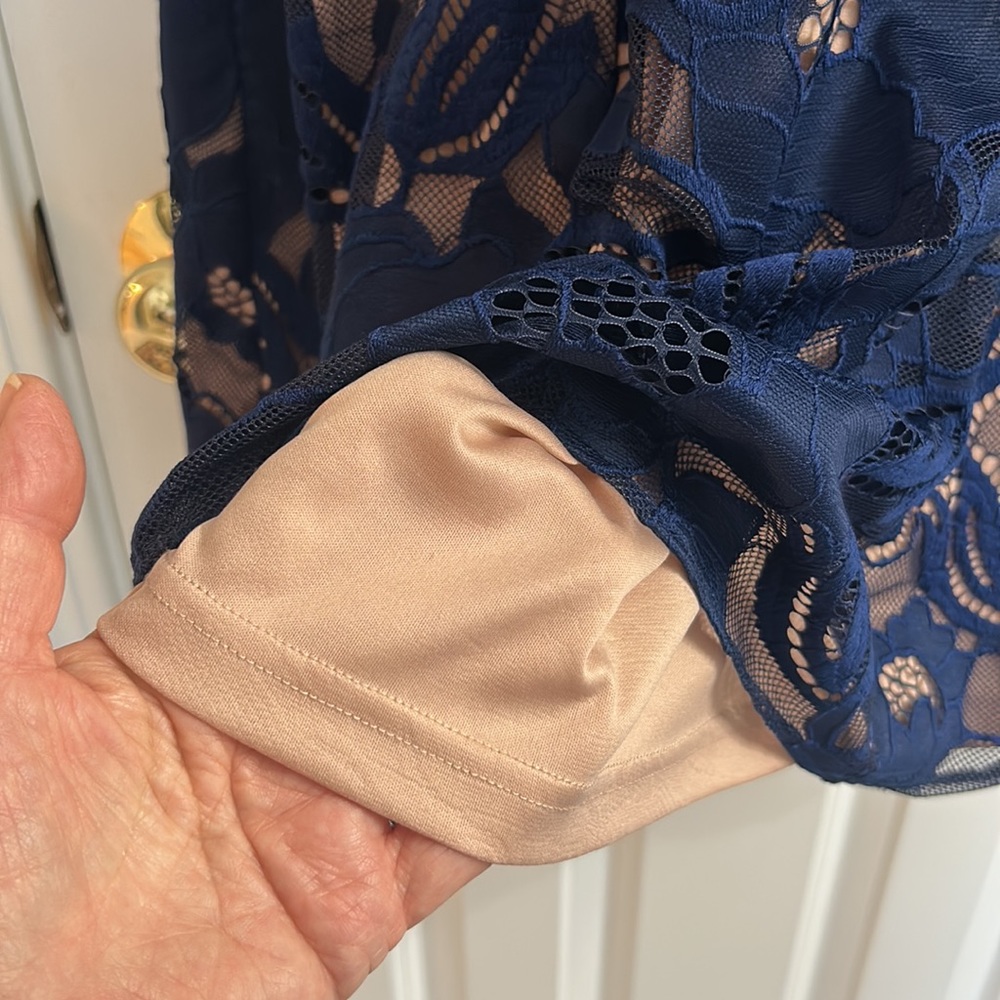 Adrianna Papell Navy Blue Lace Dress - Picture 7 of 13